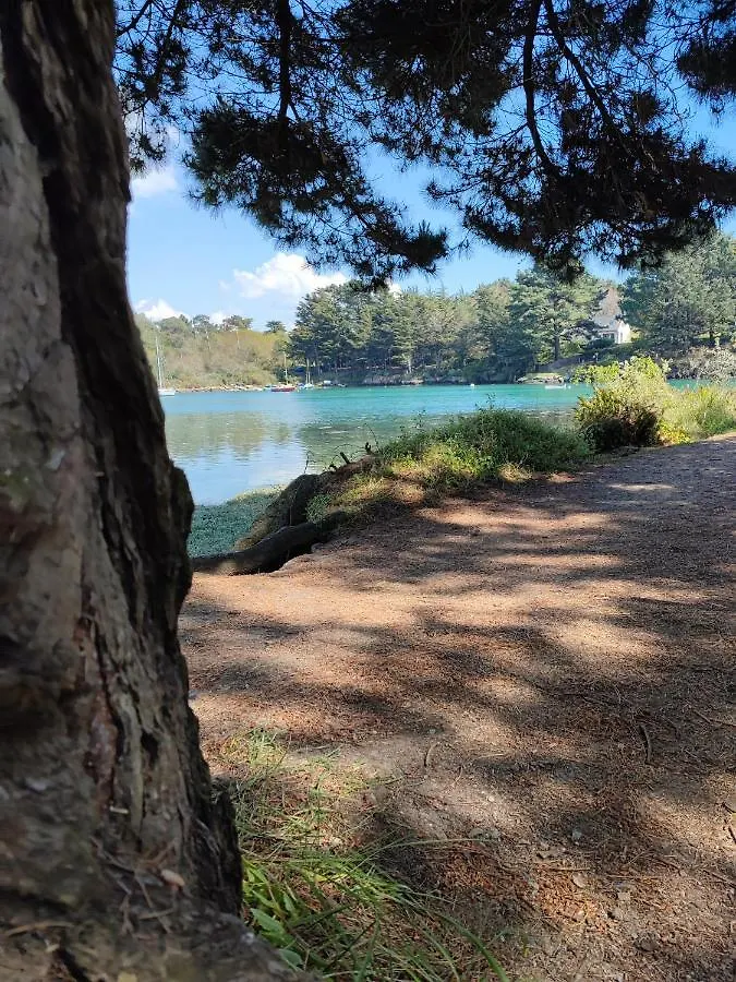 Daire La Suite Appartement Plages Et Centre Ville A Pied Concarneau